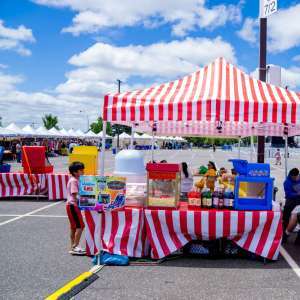 VAISAKHI MELA IN LONG ISLAND 2024